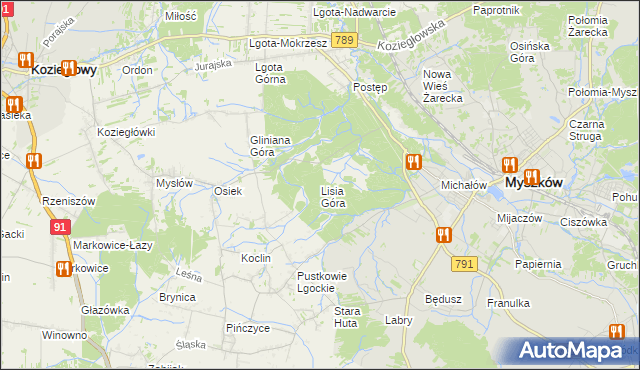 mapa Lisia Góra gmina Koziegłowy, Lisia Góra gmina Koziegłowy na mapie Targeo