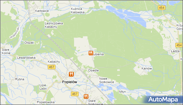 mapa Lubienia gmina Popielów, Lubienia gmina Popielów na mapie Targeo