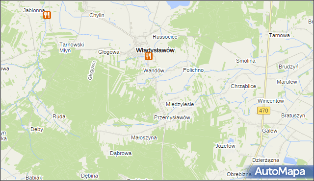 mapa Mariantów gmina Władysławów, Mariantów gmina Władysławów na mapie Targeo