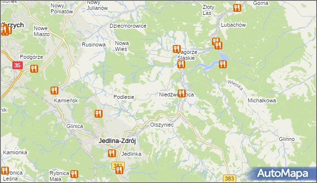 mapa Niedźwiedzica gmina Walim, Niedźwiedzica gmina Walim na mapie Targeo