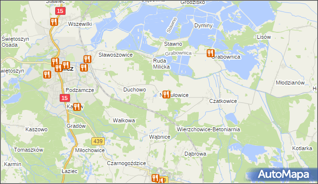 mapa Niesułowice gmina Milicz, Niesułowice gmina Milicz na mapie Targeo