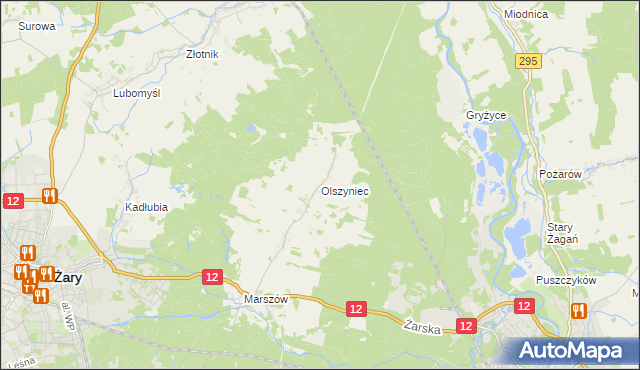 mapa Olszyniec gmina Żary, Olszyniec gmina Żary na mapie Targeo