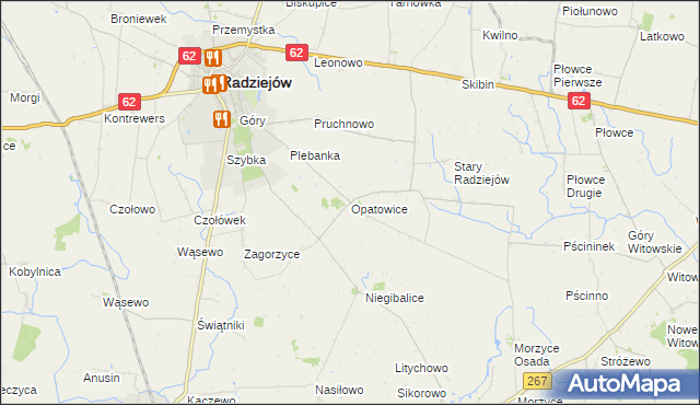 mapa Opatowice gmina Radziejów, Opatowice gmina Radziejów na mapie Targeo