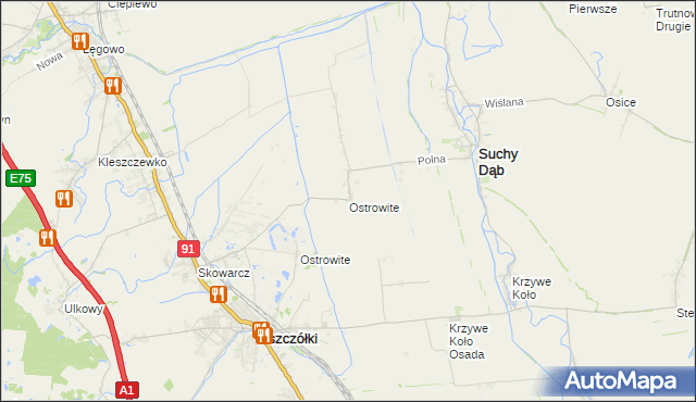 mapa Ostrowite gmina Suchy Dąb, Ostrowite gmina Suchy Dąb na mapie Targeo