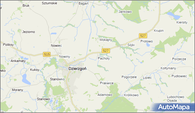mapa Pachoły gmina Dzierzgoń, Pachoły gmina Dzierzgoń na mapie Targeo