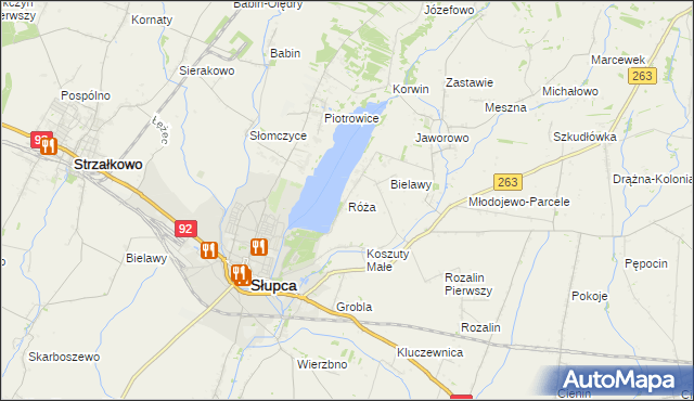 mapa Róża gmina Słupca, Róża gmina Słupca na mapie Targeo