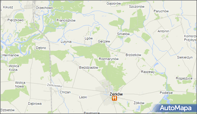 mapa Rozmarynów, Rozmarynów na mapie Targeo