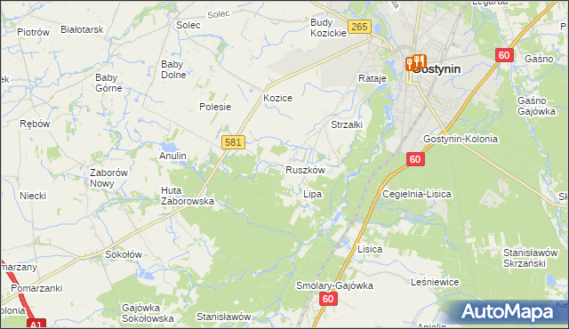 mapa Ruszków gmina Gostynin, Ruszków gmina Gostynin na mapie Targeo