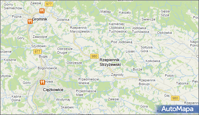 mapa Rzepiennik Strzyżewski, Rzepiennik Strzyżewski na mapie Targeo