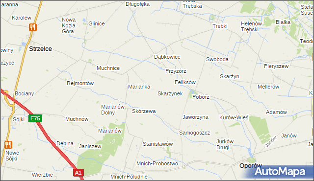 mapa Skarżynek gmina Oporów, Skarżynek gmina Oporów na mapie Targeo