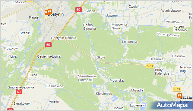mapa Skoki gmina Gostynin, Skoki gmina Gostynin na mapie Targeo