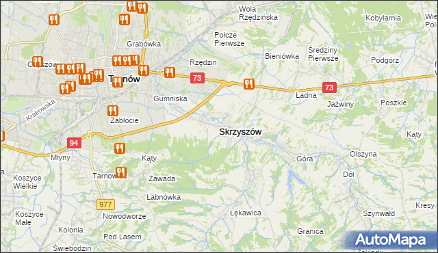 mapa Skrzyszów powiat tarnowski, Skrzyszów powiat tarnowski na mapie Targeo