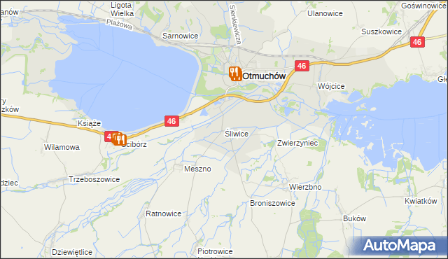 mapa Śliwice gmina Otmuchów, Śliwice gmina Otmuchów na mapie Targeo