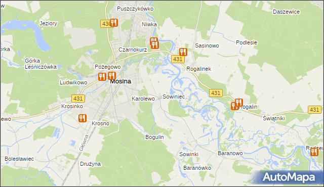 mapa Sowiniec gmina Mosina, Sowiniec gmina Mosina na mapie Targeo