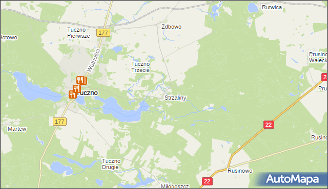 mapa Strzaliny, Strzaliny na mapie Targeo