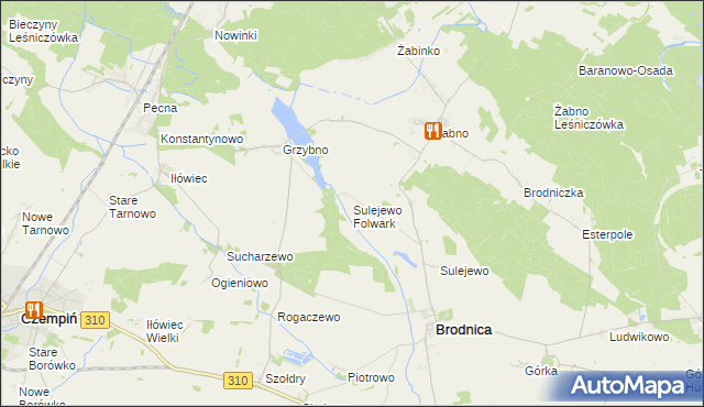 mapa Sulejewo Folwark, Sulejewo Folwark na mapie Targeo