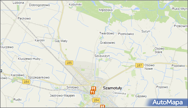 mapa Szczuczyn gmina Szamotuły, Szczuczyn gmina Szamotuły na mapie Targeo