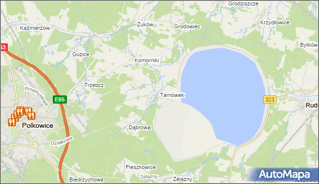 mapa Tarnówek gmina Polkowice, Tarnówek gmina Polkowice na mapie Targeo