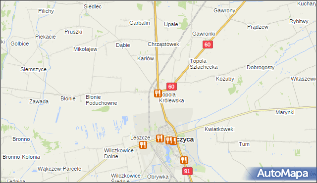 mapa Topola Królewska, Topola Królewska na mapie Targeo