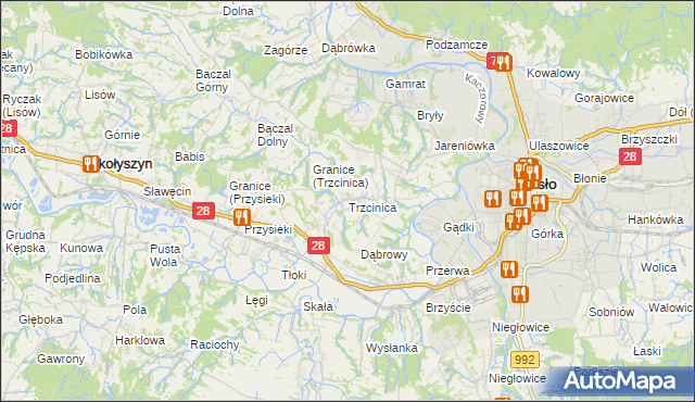 mapa Trzcinica gmina Jasło, Trzcinica gmina Jasło na mapie Targeo