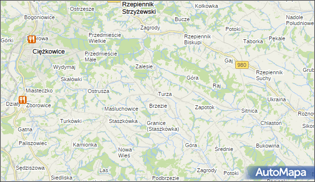mapa Turza gmina Rzepiennik Strzyżewski, Turza gmina Rzepiennik Strzyżewski na mapie Targeo