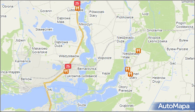 mapa Wąsosze gmina Ślesin, Wąsosze gmina Ślesin na mapie Targeo