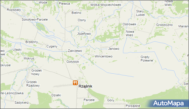 mapa Wincentowo gmina Rząśnik, Wincentowo gmina Rząśnik na mapie Targeo