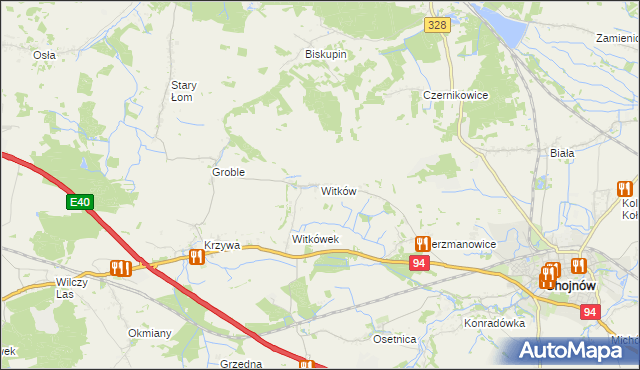 mapa Witków gmina Chojnów, Witków gmina Chojnów na mapie Targeo