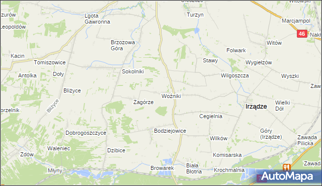 mapa Woźniki gmina Irządze, Woźniki gmina Irządze na mapie Targeo