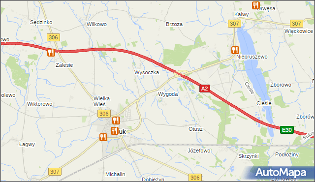 mapa Wygoda gmina Buk, Wygoda gmina Buk na mapie Targeo