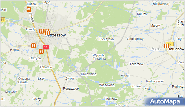 mapa Wygoda Tokarska, Wygoda Tokarska na mapie Targeo