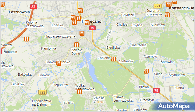 mapa Żabieniec gmina Piaseczno, Żabieniec gmina Piaseczno na mapie Targeo