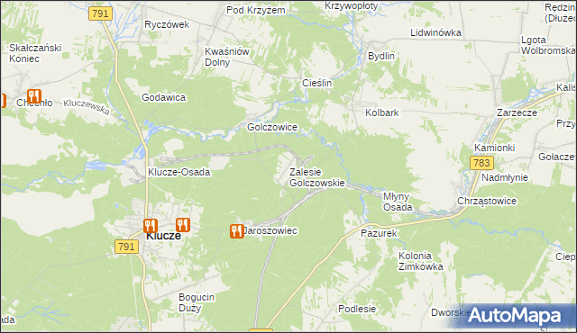 mapa Zalesie Golczowskie, Zalesie Golczowskie na mapie Targeo