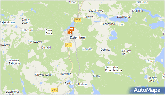 mapa Zarośle gmina Dziemiany, Zarośle gmina Dziemiany na mapie Targeo