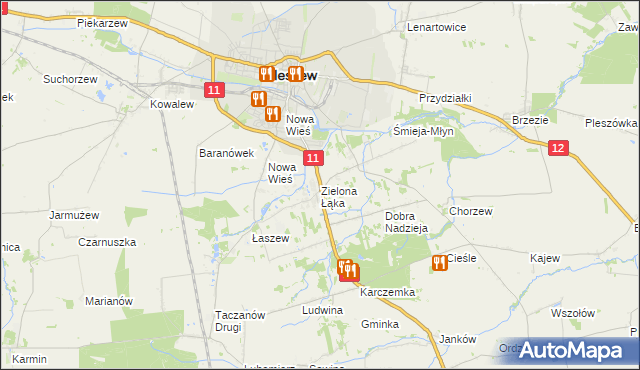 mapa Zielona Łąka gmina Pleszew, Zielona Łąka gmina Pleszew na mapie Targeo