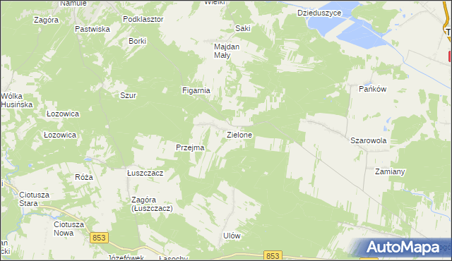 mapa Zielone gmina Krasnobród, Zielone gmina Krasnobród na mapie Targeo