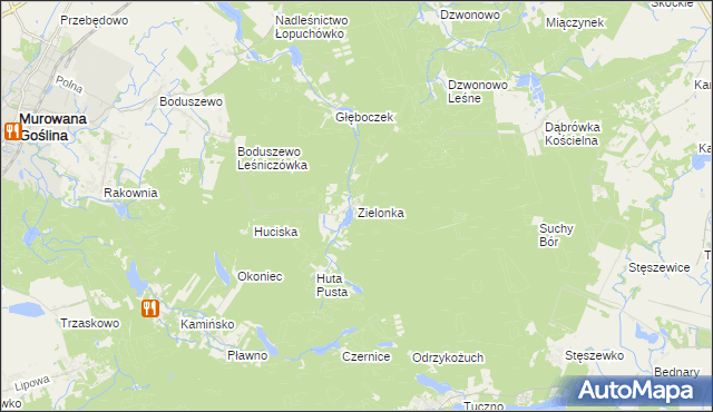 mapa Zielonka gmina Murowana Goślina, Zielonka gmina Murowana Goślina na mapie Targeo