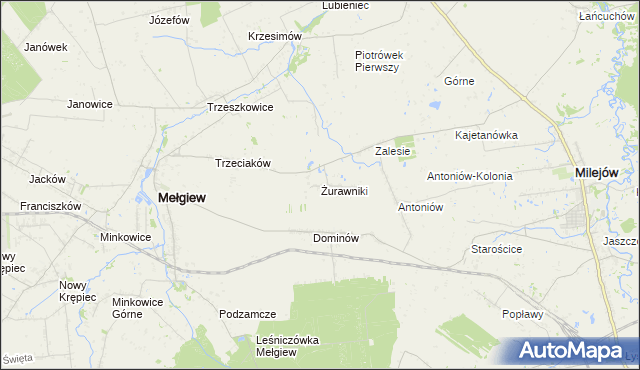 mapa Żurawniki gmina Mełgiew, Żurawniki gmina Mełgiew na mapie Targeo