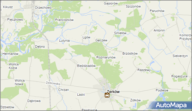 mapa Rozmarynów, Rozmarynów na mapie Targeo