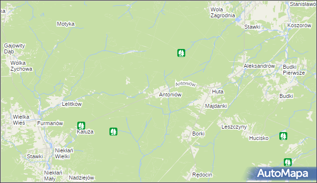 mapa Antoniów gmina Chlewiska, Antoniów gmina Chlewiska na mapie Targeo