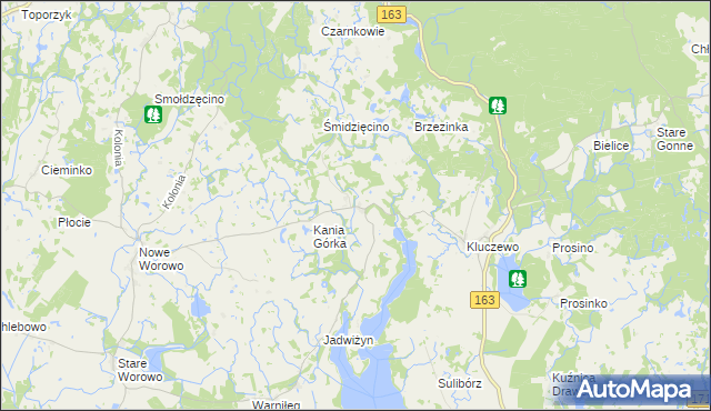 mapa Bolegorzyn, Bolegorzyn na mapie Targeo