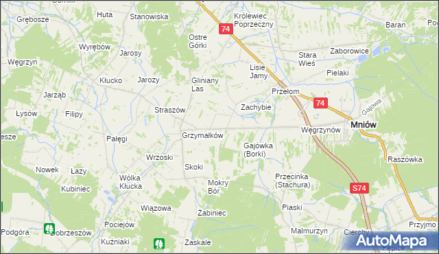 mapa Borki gmina Mniów, Borki gmina Mniów na mapie Targeo