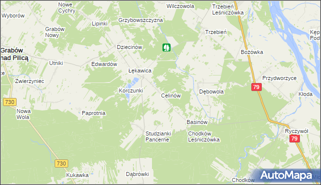 mapa Celinów gmina Grabów nad Pilicą, Celinów gmina Grabów nad Pilicą na mapie Targeo