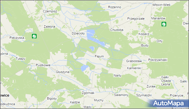 mapa Fajum, Fajum na mapie Targeo