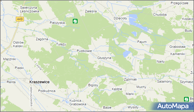mapa Głuszyna gmina Kraszewice, Głuszyna gmina Kraszewice na mapie Targeo