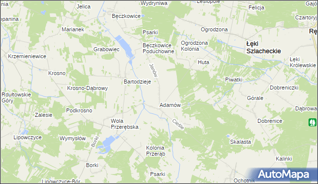 mapa Janów gmina Łęki Szlacheckie, Janów gmina Łęki Szlacheckie na mapie Targeo