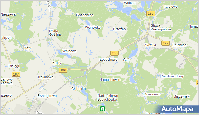 mapa Łopuchowo gmina Murowana Goślina, Łopuchowo gmina Murowana Goślina na mapie Targeo