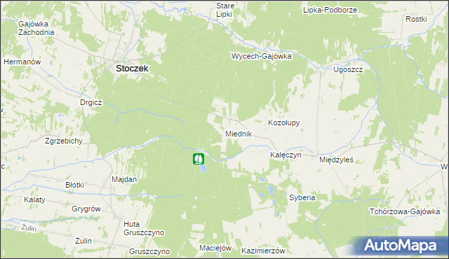 mapa Miednik gmina Stoczek, Miednik gmina Stoczek na mapie Targeo