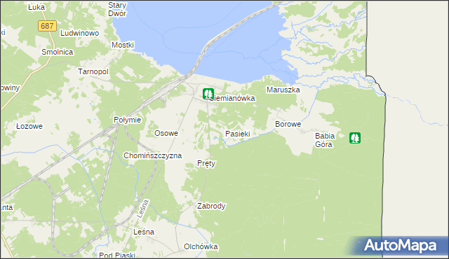 mapa Pasieki gmina Narewka, Pasieki gmina Narewka na mapie Targeo