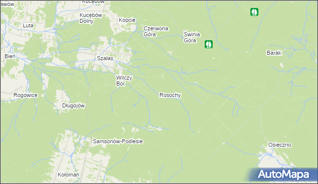 mapa Rosochy gmina Bliżyn, Rosochy gmina Bliżyn na mapie Targeo